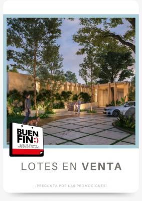 Lotes en Venta ubicados en Cholul Merida Yucatan Aira 